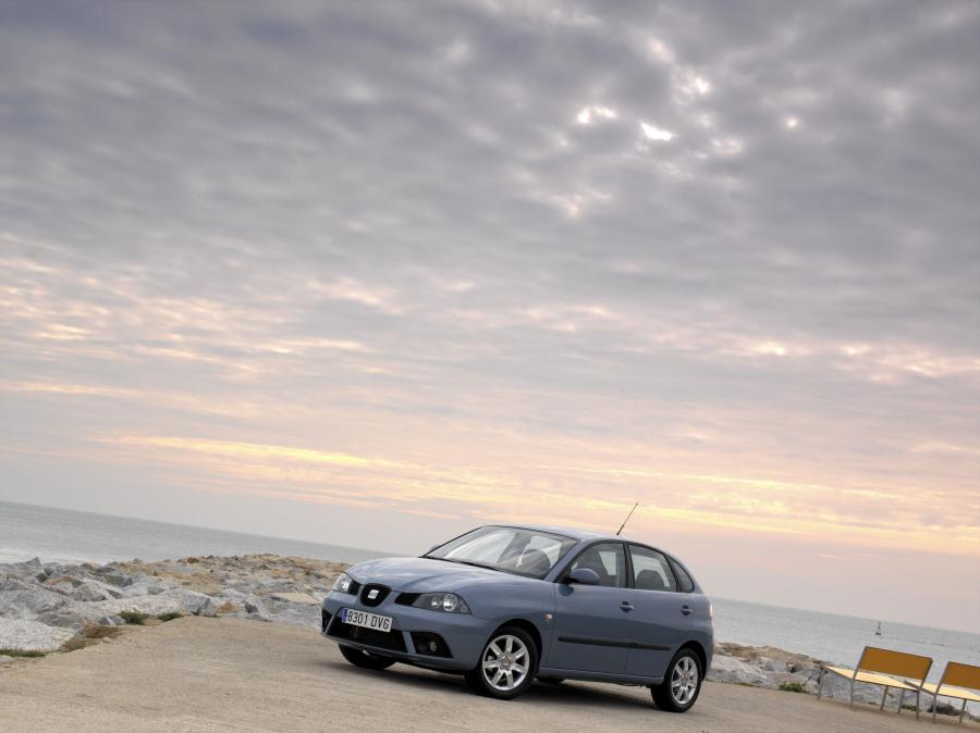  Seat Ibiza 2006 года  (фото 13 из 14)